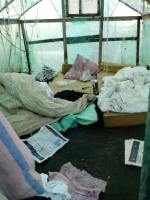 zdj. archiwalne 2020 r. osoba bezdomna  na jednej z działek ROD im. W. Sikorskiego w Gdyni