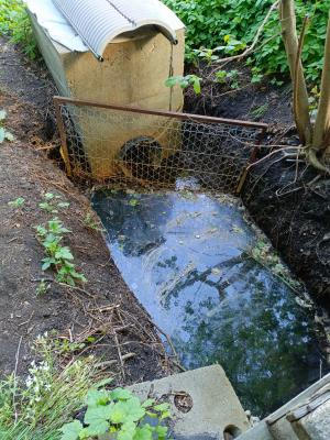 widok odstojnika przed opadami deszczu